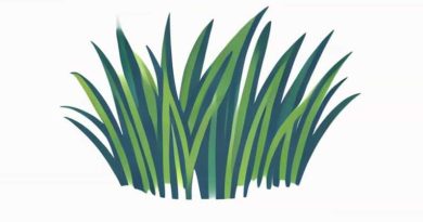 Ems Spring Bluegrass Festival