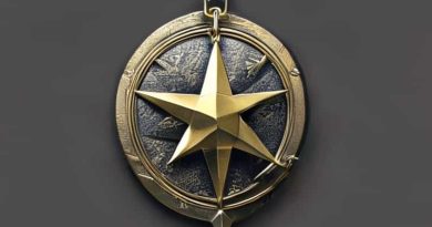 Enhanced Expeditionary Medal Ff7