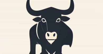 Federal Seat Of Bullwinkle