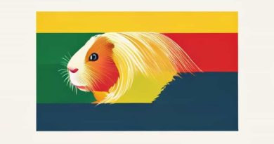 Flag Of Guinea Bissau