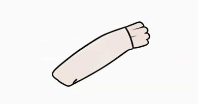 Flexor Compartment Of Forearm