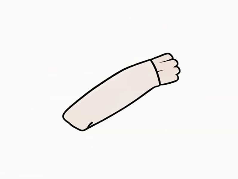 Flexor Compartment Of Forearm