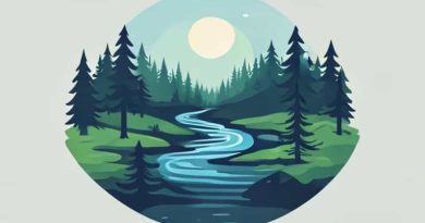 Forest River Salem Hemisphere