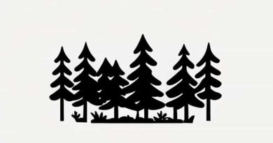 Forest Rouge Blackhaw Viburnum