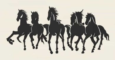 Four Horsemen Of Terran