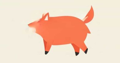 Fox Float X2 Piggyback