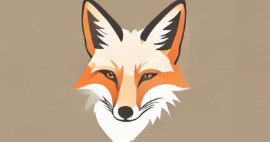 Fox News Jussie Smollett