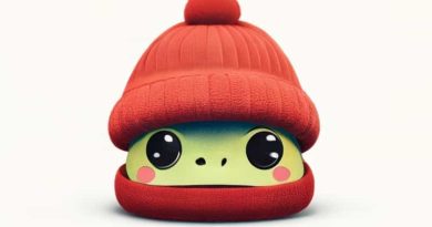 Frog Beanie Baby Smoochy