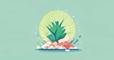 From Waste To Wonder