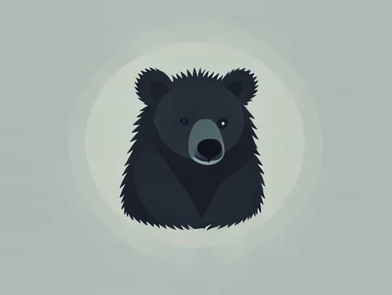 From Where Drop Bear