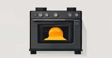 Ge Spectra Oven Element