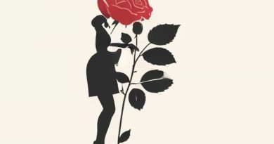 Gertrude Jekyll Climbing Rose