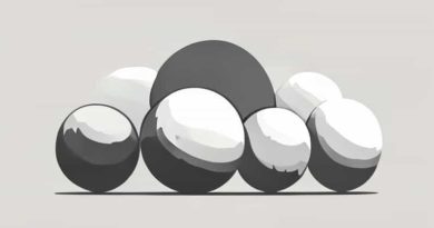 Giant Puffball Life Cycle