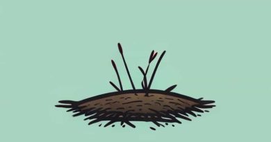 Going Over Trodden Ground