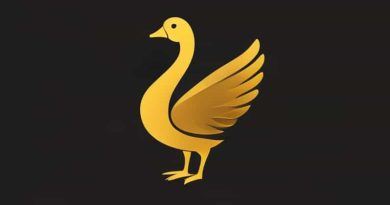 Golden Goose Mid Star