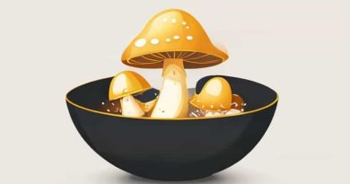 Golden Mushroom Briny Bowl