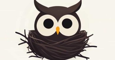 Great Horned Owl Nestling