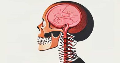 Greater Occipital Nerve Cadaver