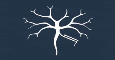 Nerve Responsible For Mastication