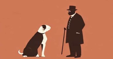 Old Dogs And Englishmen