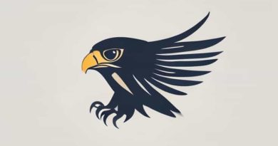 Pilot Falcon Spencerian Modification