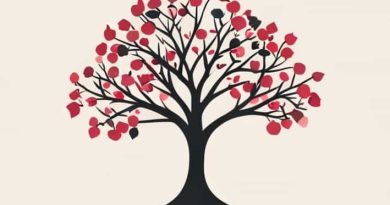 Queen Anne Cherry Tree