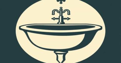 Queen Anne'S Revenge Sink