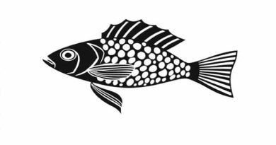 Queen Arabesque Pleco Diet