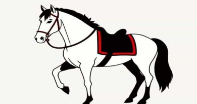 Queen Of Prussia Workhorse