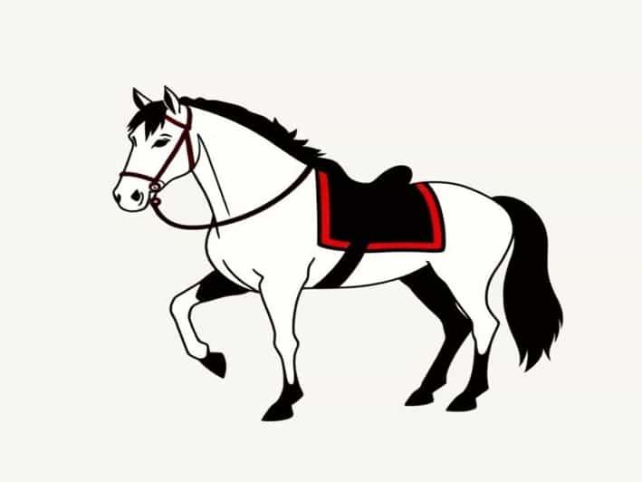 Queen Of Prussia Workhorse