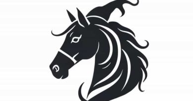 Queen Of Wizardry Horse