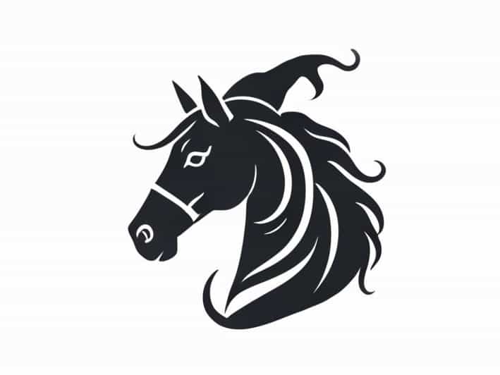 Queen Of Wizardry Horse