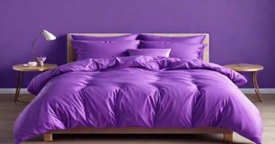 Queen Purple Comforter Set