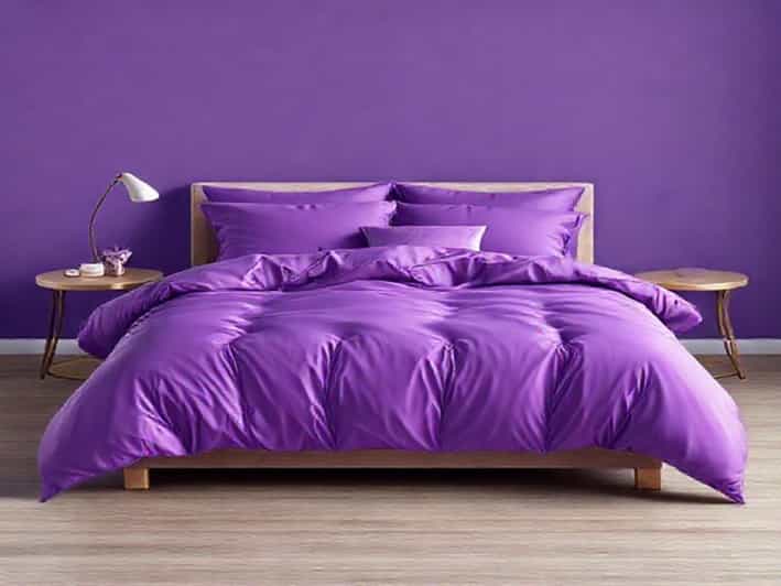 Queen Purple Comforter Set