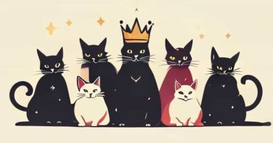 Queen'S Coronation Battle Cats