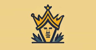 Queensland Election Disinformation Misinformation