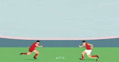 Queensland Reds V Wales