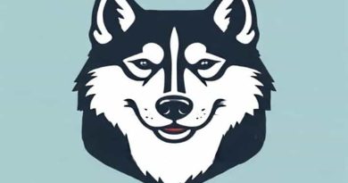 Quote Unquote Husky Accomplice