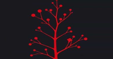 Red Twigged Dogwood Height