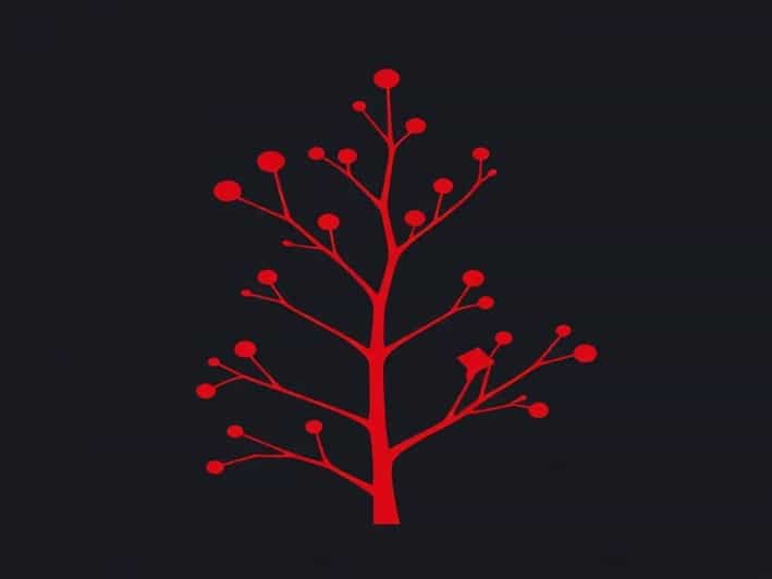 Red Twigged Dogwood Height