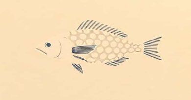 Relative Fecundity Of Fish