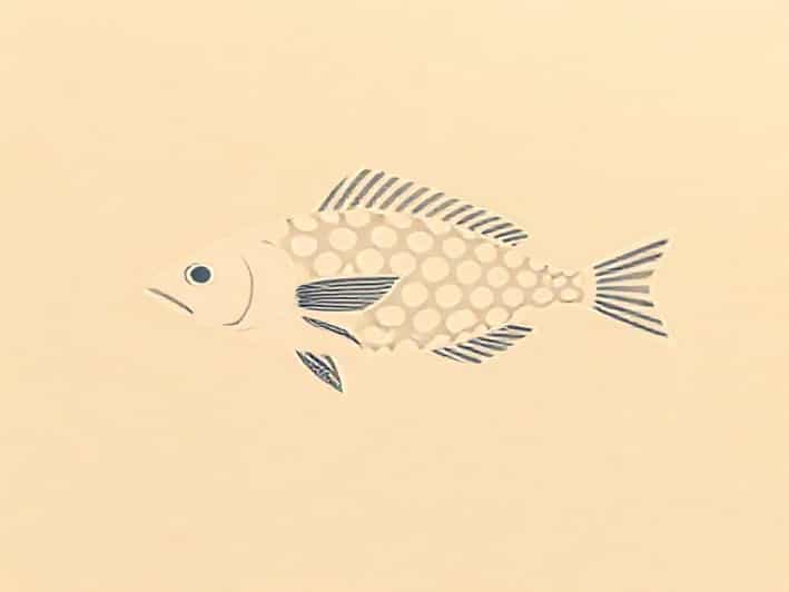 Relative Fecundity Of Fish