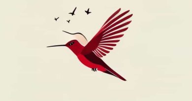 Ruby Throated Hummingbird Migration