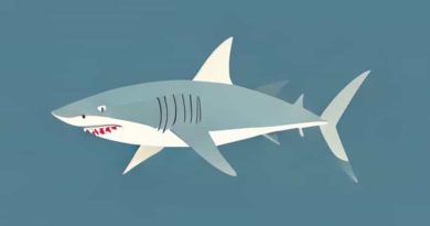 Shark Stratos Corded Ultralight