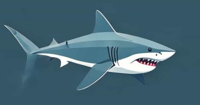 Shark Vertex Ultralight Hz2002