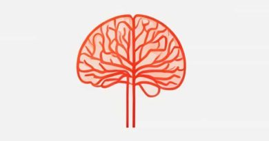 Superior Cerebellar Peduncle Location