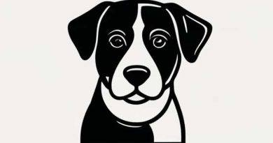 The Dogs Trust Canterbury