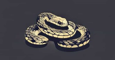 The Dusky Pygmy Rattlesnake