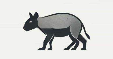 The First Transgenic Animal