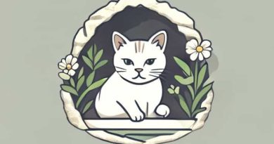 The Grotto Of Catullus